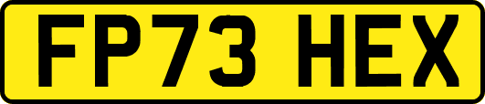 FP73HEX