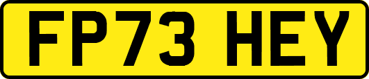 FP73HEY