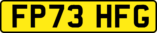 FP73HFG