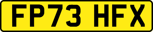 FP73HFX
