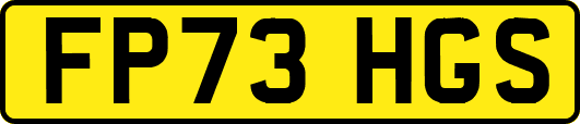 FP73HGS
