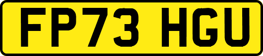 FP73HGU