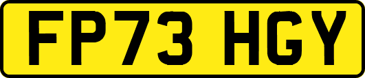 FP73HGY