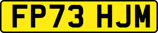 FP73HJM