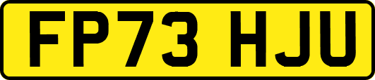 FP73HJU