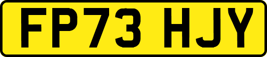 FP73HJY