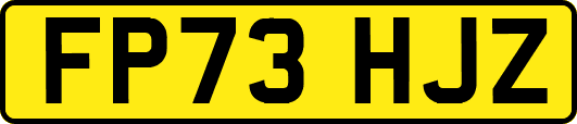 FP73HJZ