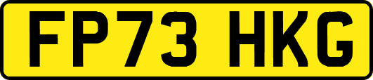 FP73HKG