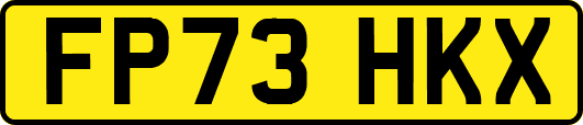 FP73HKX