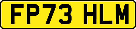 FP73HLM