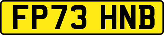 FP73HNB