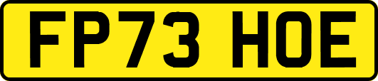 FP73HOE