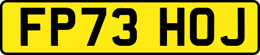 FP73HOJ