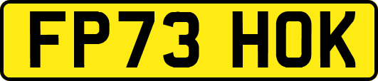 FP73HOK