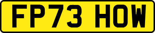 FP73HOW