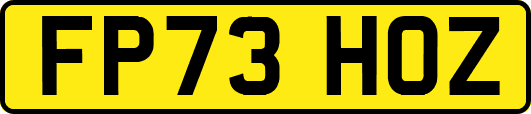 FP73HOZ