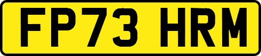 FP73HRM