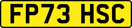 FP73HSC