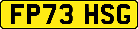 FP73HSG