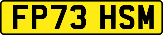 FP73HSM