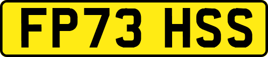 FP73HSS