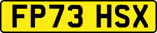 FP73HSX