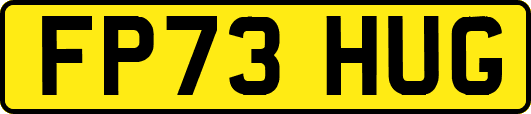 FP73HUG