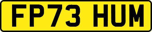 FP73HUM