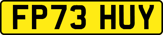 FP73HUY
