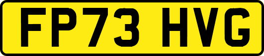 FP73HVG