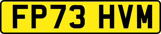 FP73HVM