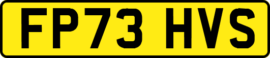 FP73HVS