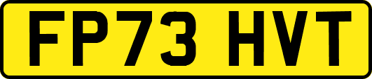 FP73HVT