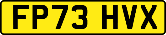 FP73HVX