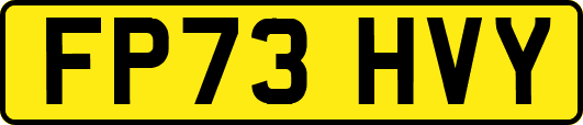 FP73HVY