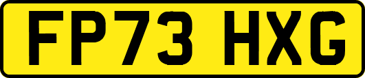 FP73HXG