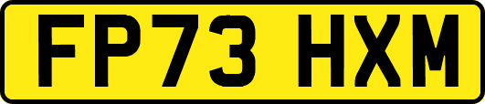 FP73HXM