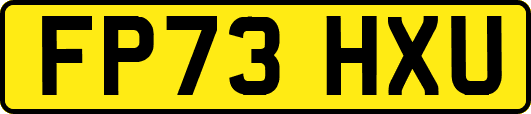 FP73HXU