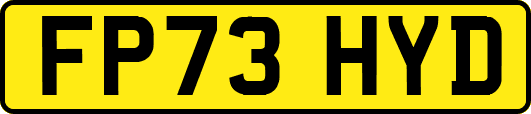 FP73HYD