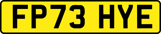 FP73HYE