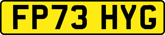 FP73HYG