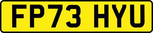 FP73HYU