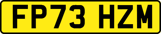 FP73HZM