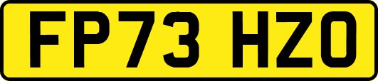 FP73HZO