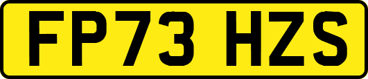 FP73HZS
