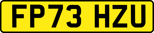FP73HZU