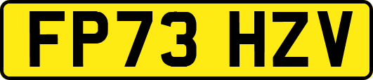 FP73HZV