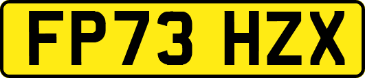 FP73HZX