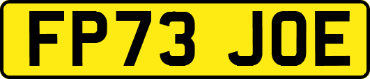 FP73JOE