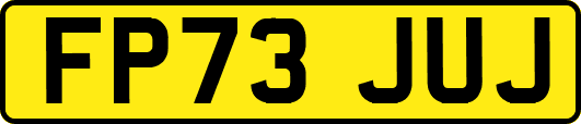 FP73JUJ